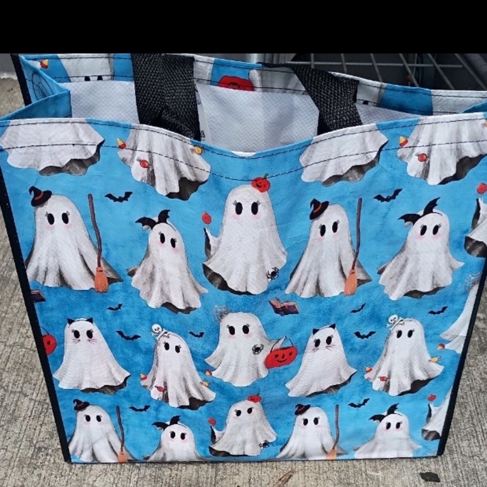 TJ MAXX Ghost Reusable Bags (3)